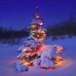 Juletrevise. Sangen som helt enkelt oppsummerer julens budskap...