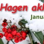 Johns hagekalender - senvinter 3 Selv om hagen ikke innbyr til uteaktivitet, er det mye hagearbeid som kan og bør gjøres nå. Www. Johnsteffensen. No