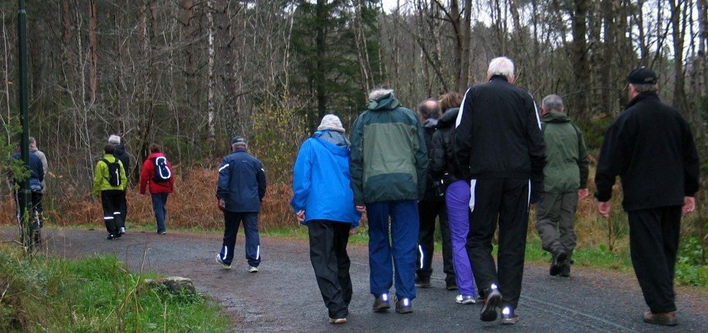 Gruppe fra hjerterehabilitering på krokeide foreviget i hordnesskogen. (foto: johnsteffensen. No)