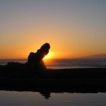 Tenerife - der det meste er på turistenes premisser (1)