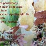 Krystallkulekort 4 (www. Johnsteffensen. No)