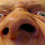 Ikke noe hyggelig å se at drosjesjåfører krangler på holdeplassene. Når krybben er tom, bites hestene...