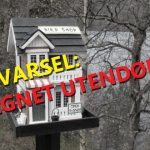 Fuglemater fra jula er utrolig nok uegnet utendørs. Foto - www. Johnsteffensen. No