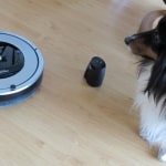 Hunden kompis bryr seg ikke om robotstøvsugeren. De er gode venner. Www. Johnsteffensen. No