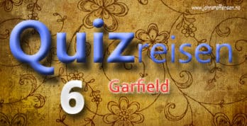 Quizreisen 6 handler om katter. Klarer du alle de 10 spørsmålene? www.johnsteffensen.no
