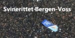 Sykkelrittet bergen - voss kan like gjerne kalles for svinerittet bergen - voss