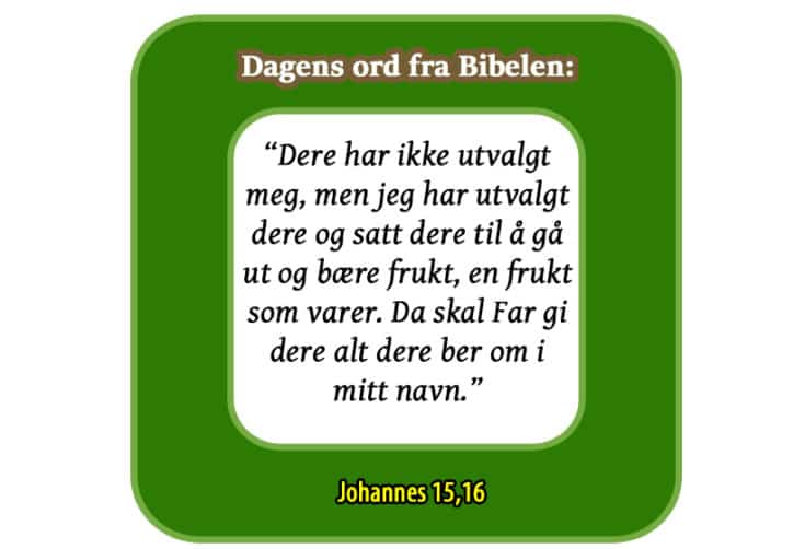 Joh 1516 bibelord fra www. Johnsteffensen. No