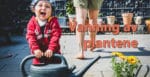 Gjødsel. Plantenæring og npk 4 Vanning av planter. Den gylne middelvei.
