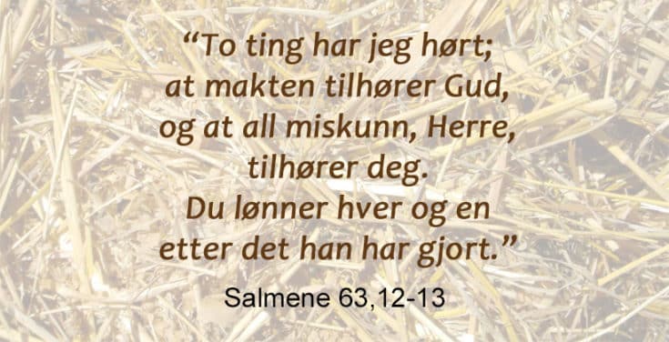Salmene 6312 13