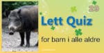Quiz for barn i alle aldre - 29