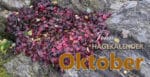 Hagen i oktober