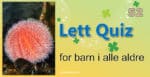 Quiz for barn i alle aldre - 52