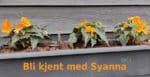 Sitteplass ved blomsterbed 4 Syanna. Slik er hennes liv...