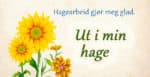 Johns hageråd 4 Fra frø til levende planter
