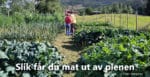 Bokanmeldelse av hageboka "beredskapshagen". Foto: datsja. No