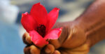 Foto: pasja 1000 - pixabay